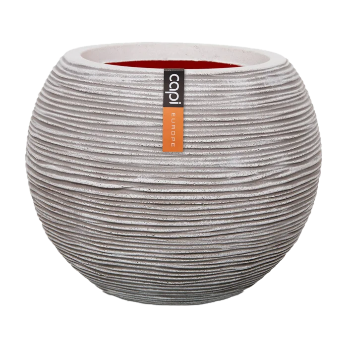 biezen-3775025