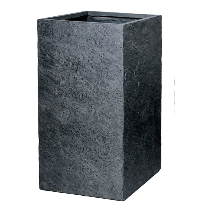 biezen-3775400