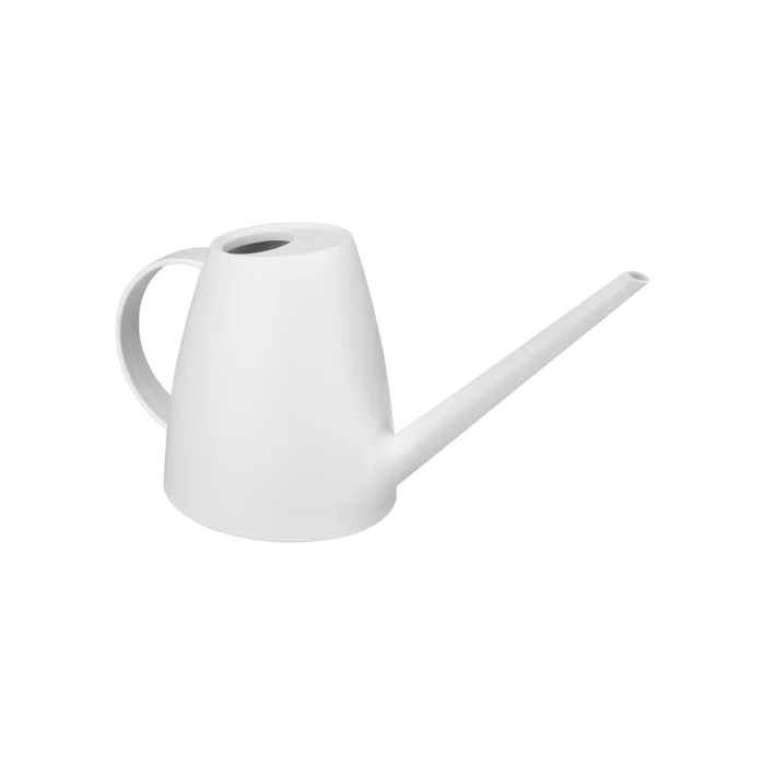biezen-3775906