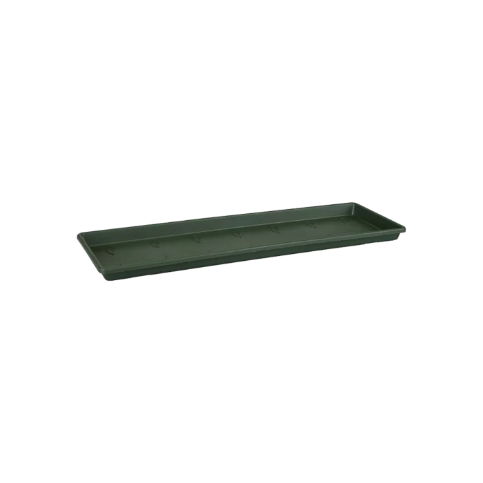 biezen-3776244