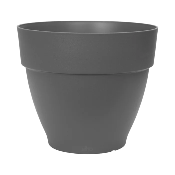 biezen-3776986