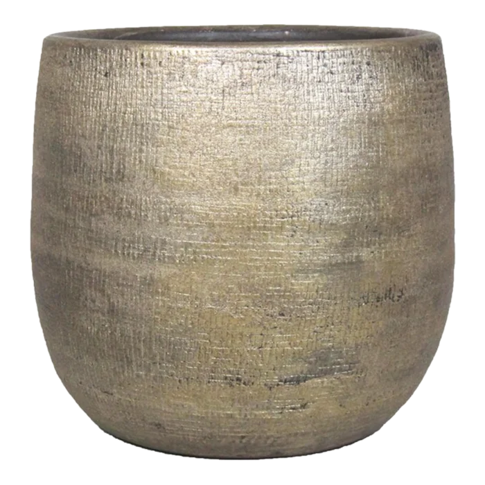 biezen-3779185