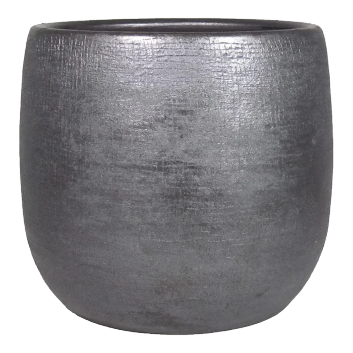 biezen-3779187