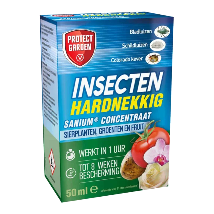 biezen-3779380