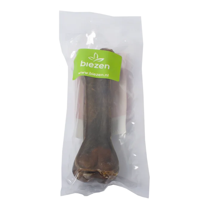 biezen-3779414
