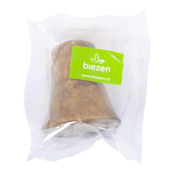 biezen-3779593