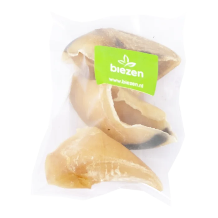 biezen-3779605