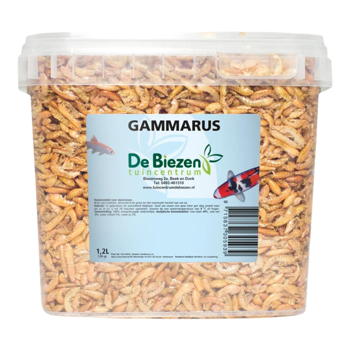 biezen-3780344