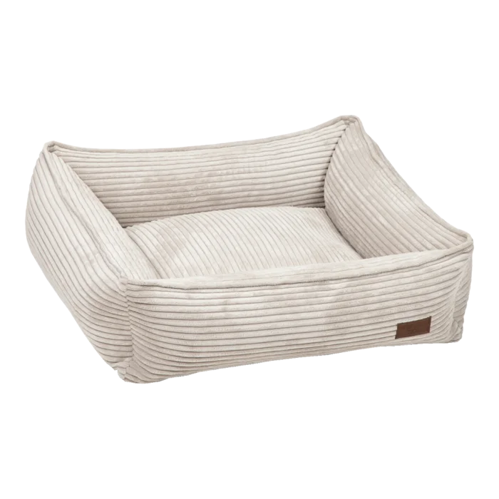 biezen-3782054
