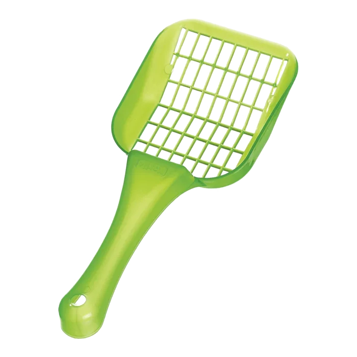 biezen-3783308