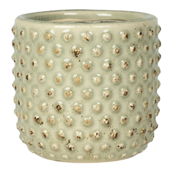biezen-3784573
