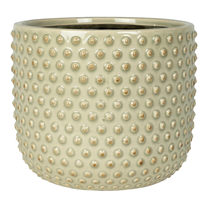 biezen-3784574