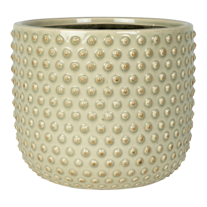 biezen-3784585