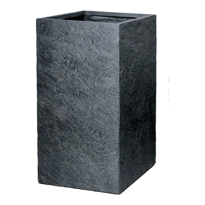 biezen-3784650