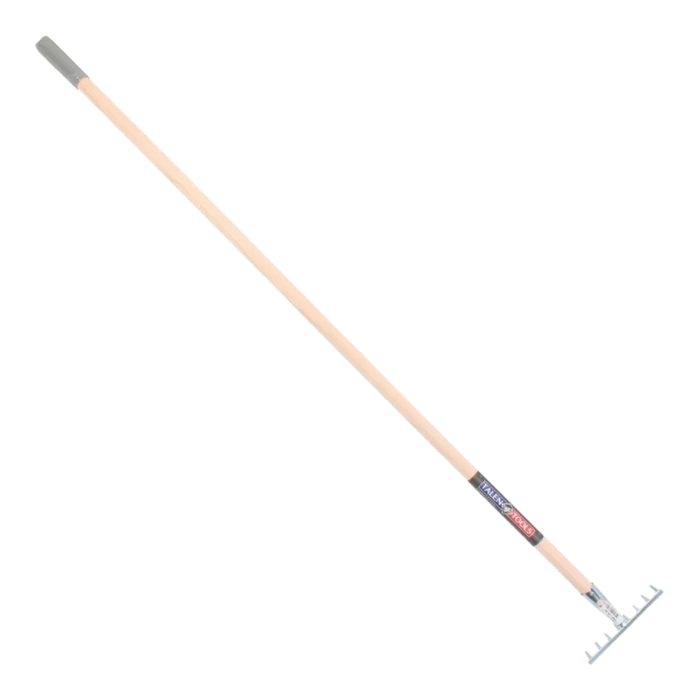 biezen-3785483