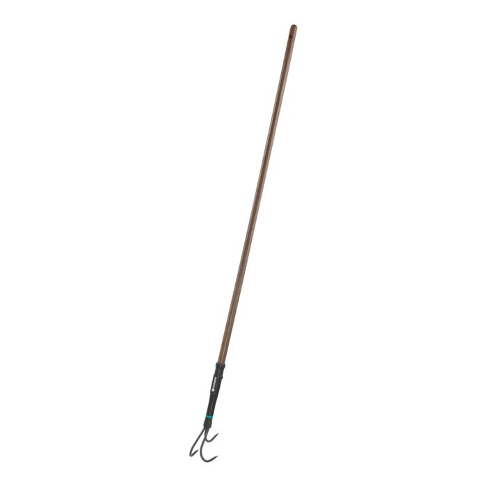 biezen-3785517