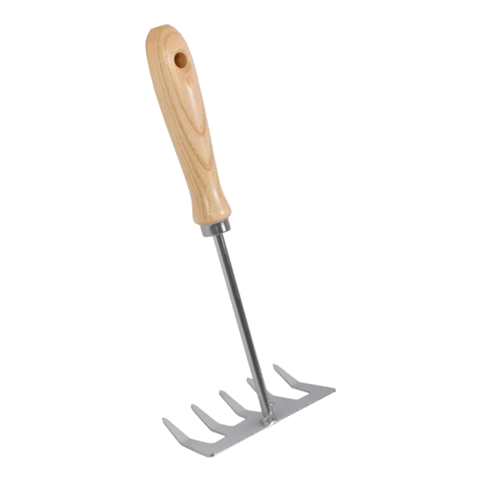 biezen-3785791