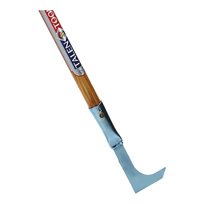 biezen-3785883