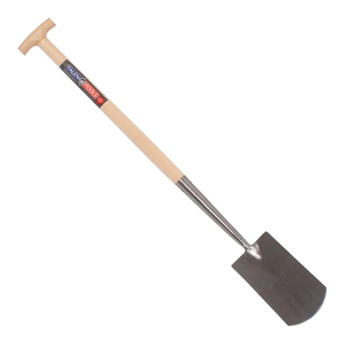 biezen-3786296