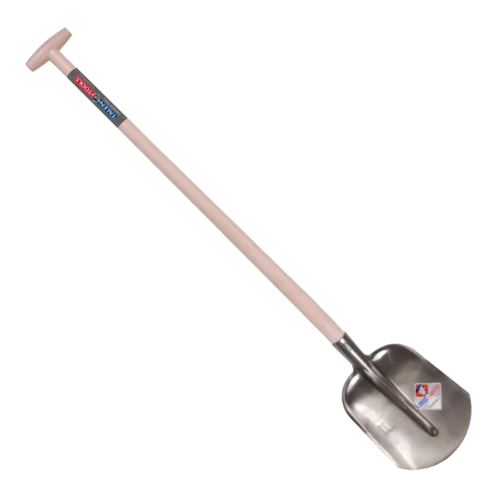 biezen-3786333