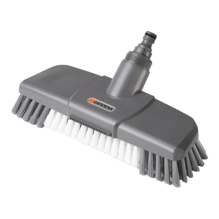 biezen-3786506