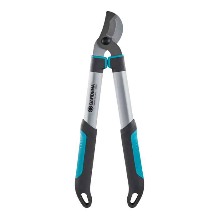 biezen-3786618