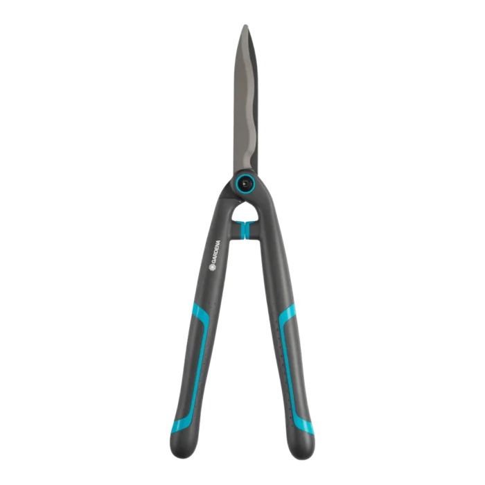 biezen-3786641