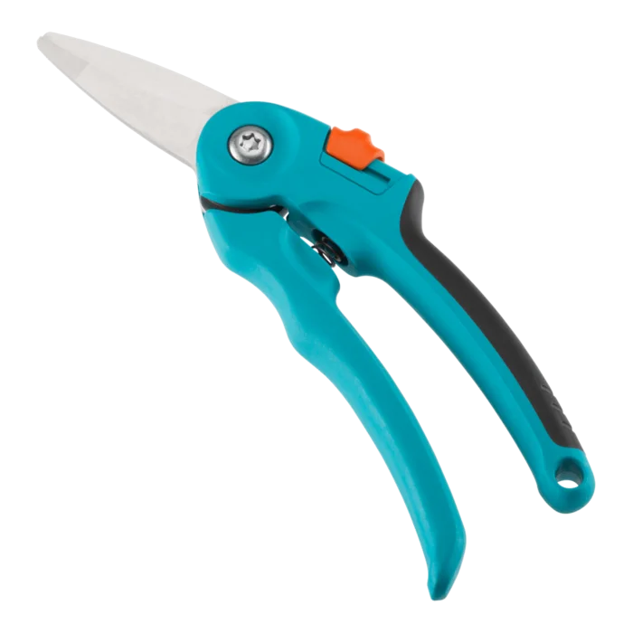 biezen-3786654