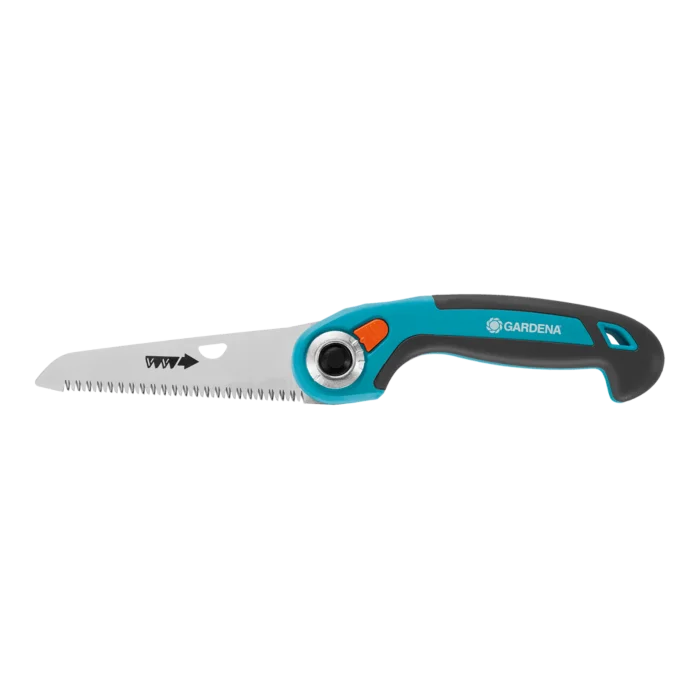 biezen-3786702