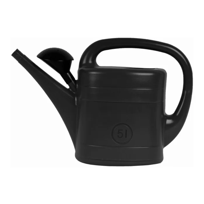 biezen-3786715