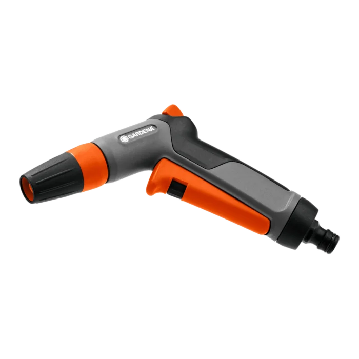 biezen-3786837