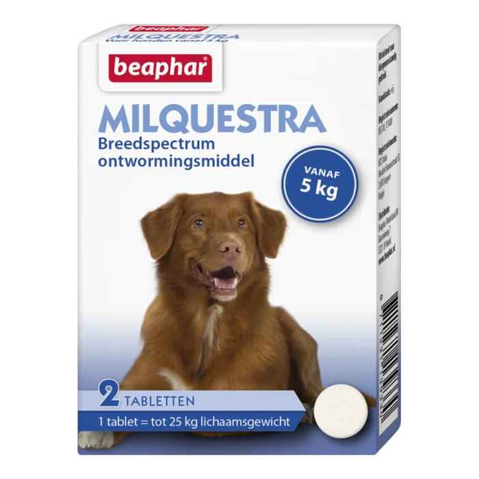 biezen-3788360