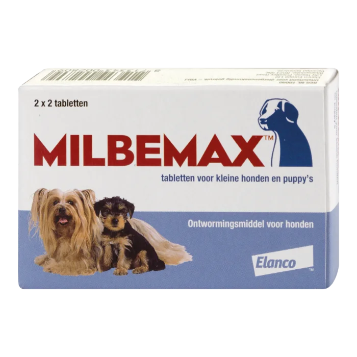 biezen-3788394