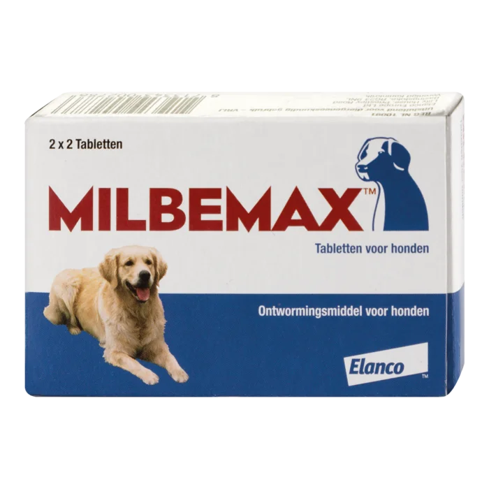 biezen-3788396