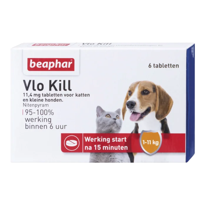 biezen-3788435
