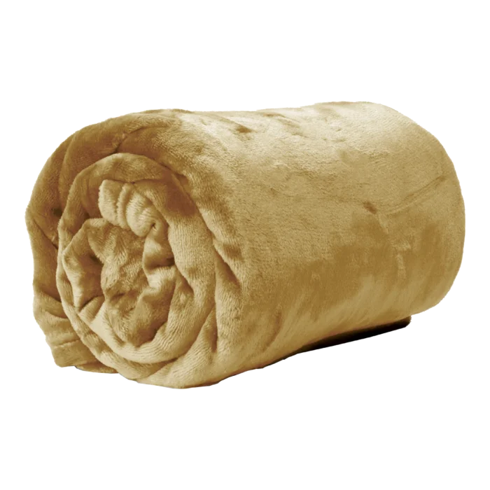 biezen-3788454