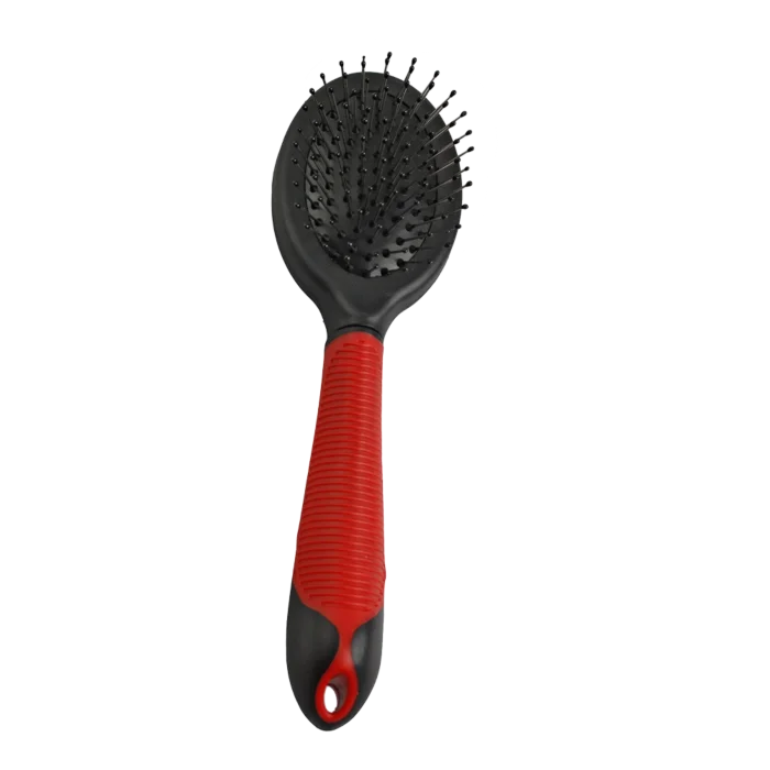 biezen-3789550