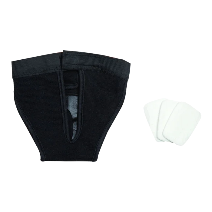 biezen-3789819