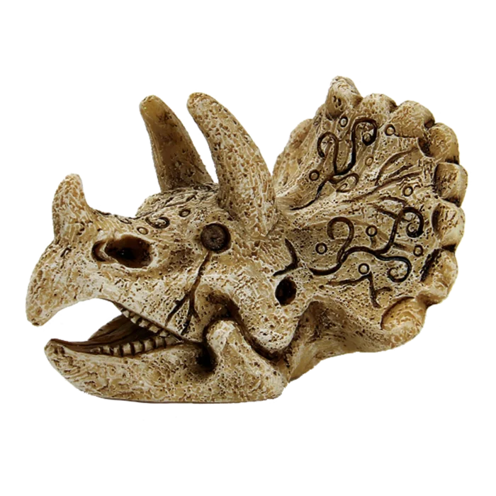 biezen-3790381