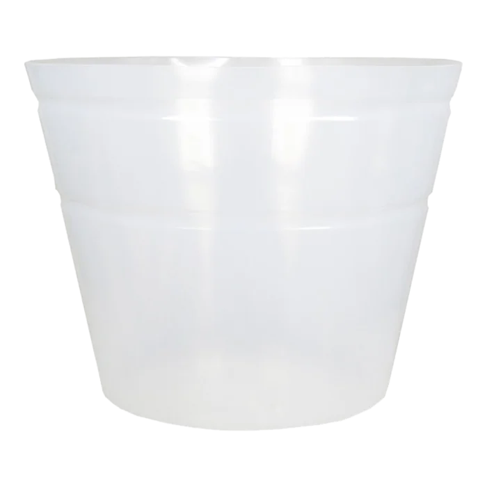 biezen-3790924