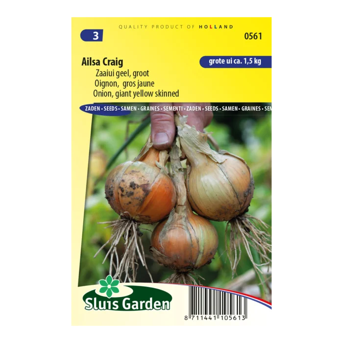 biezen-3791375