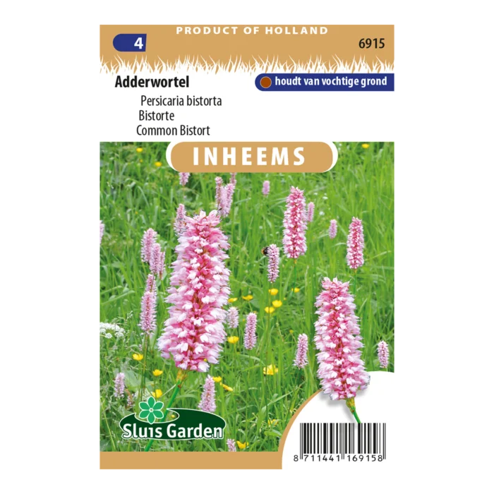 biezen-3791397