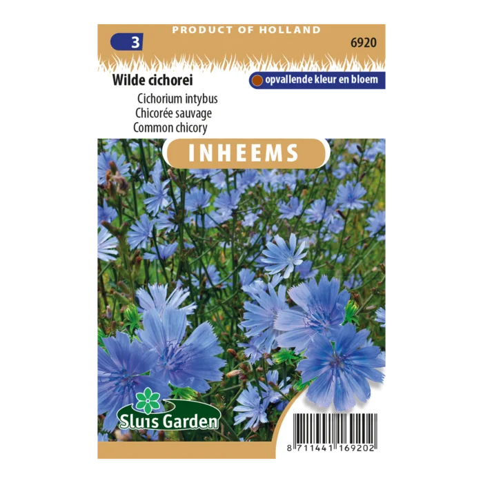biezen-3791400