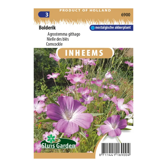 biezen-3791401
