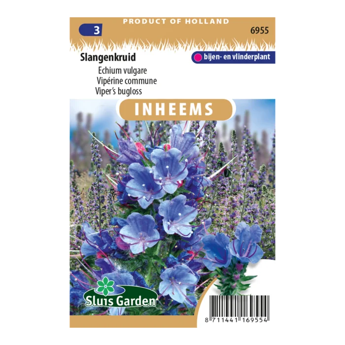 biezen-3791438