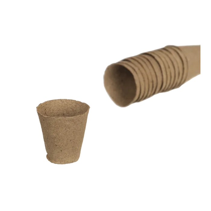 biezen-3791579
