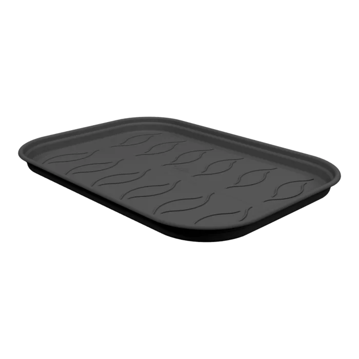 biezen-3791688