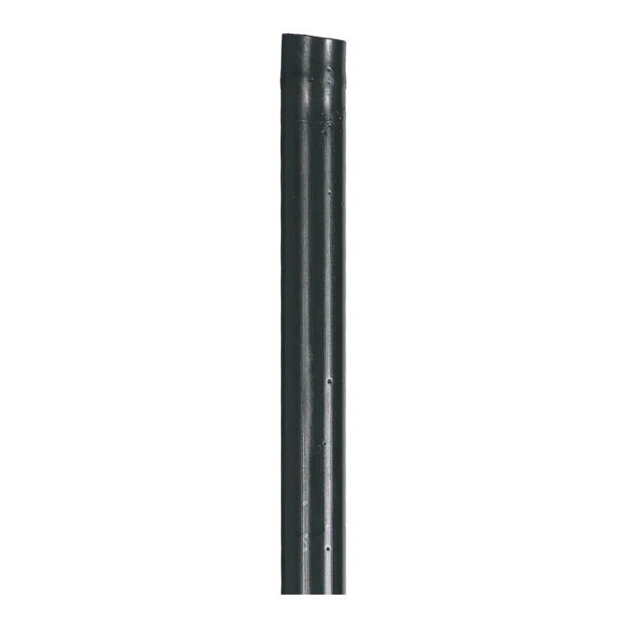 biezen-3792087
