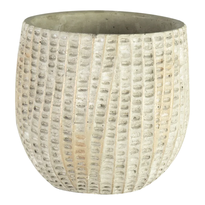 biezen-3792866