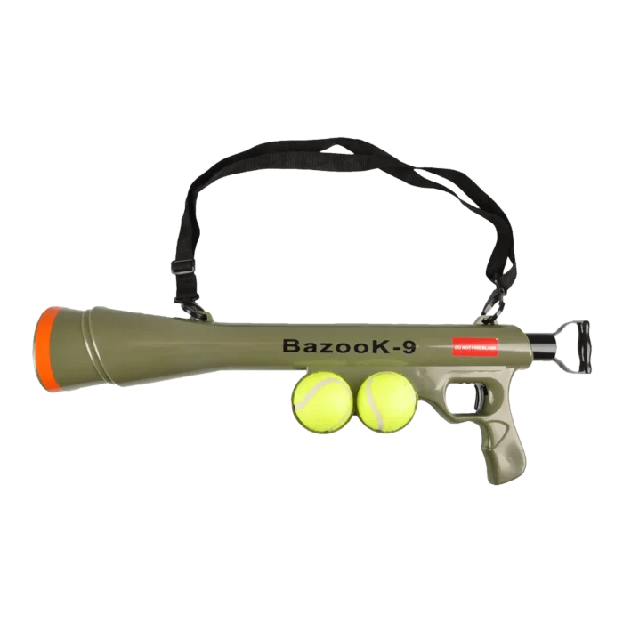 biezen-3793969